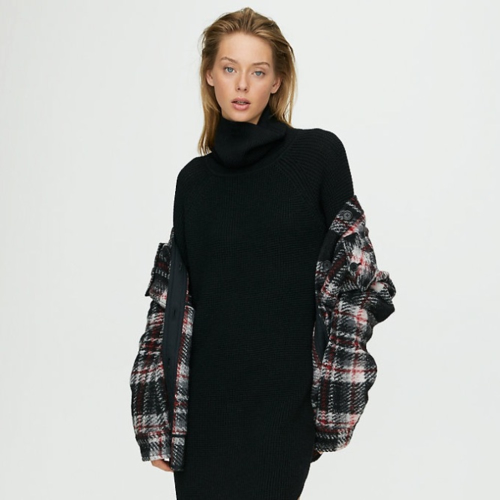 Aritzia Wilfred Free Turtleneck Dress